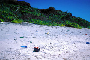 Foto de una playa de la Isla Henderson, situada en medio del Pacífico y perteneciente a Reino Unido.