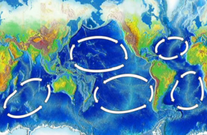 Los 5 giros océanicos principales. Atlántico Norte-Sur, Pacífico Norte-Sur e Índico.