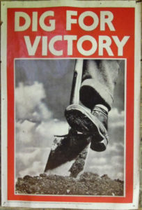 "Cava por la victoria". Cartel de propaganda de la SGM