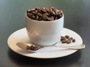 Taza de Café (Kopi Luwak)